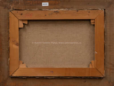  / Náchodské věže / Jan Bohumil Pospíšil