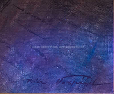  / Náchodské věže / Jan Bohumil Pospíšil