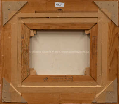  / Kruhy proměny / Zdeněk Hajný