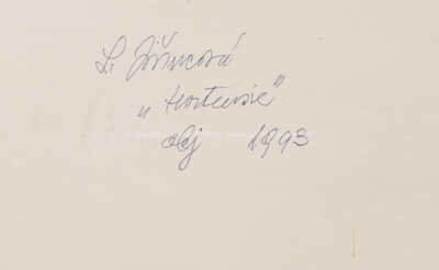  / Hortensie / Ludmila Jiřincová