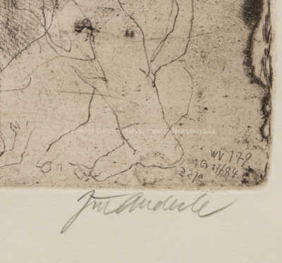  / Tři generace / Jiří Anderle