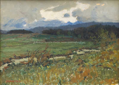  / V lukách / Jaroslav Panuška