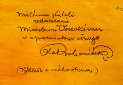  / Výhled z mého okna / Ota Bubeníček