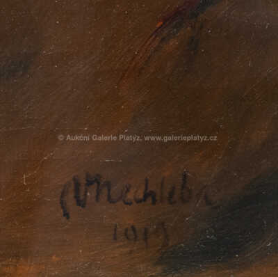  / Portrét muže / Vratislav Nechleba