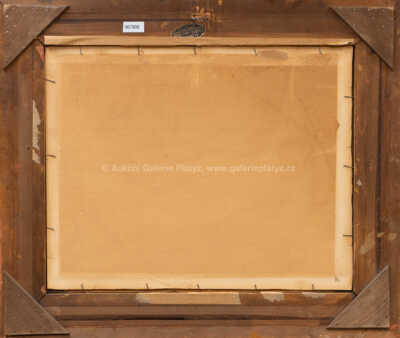  / Labská tůň / Václav Radimský