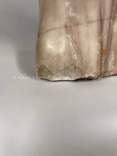  / Milenci / Vasil Petrica