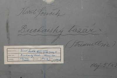  / Bucharský bazar / Karel Souček