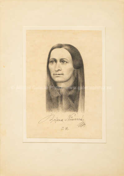 Jan Zrzavý - Božena Němcová