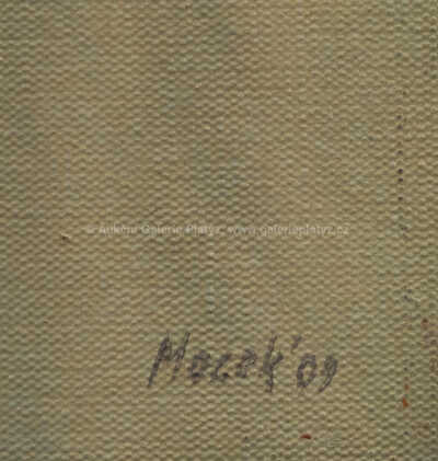  / Modelka (Yvona) / Jiří Mocek