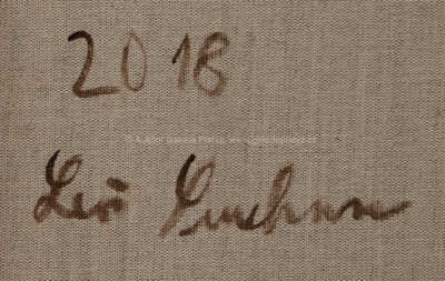  / Barokní hádanka (studie VIII) / Leoš Suchan