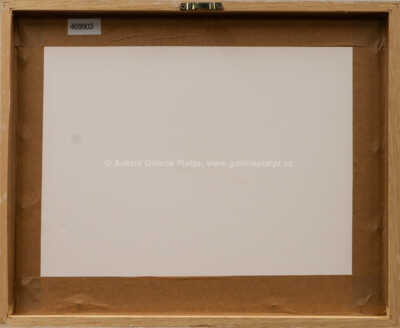  / Žofka / Adolf Born