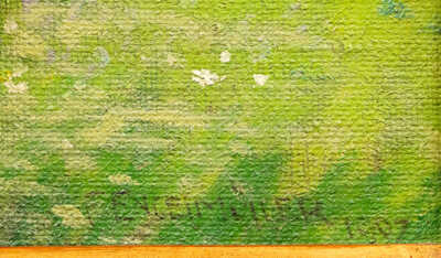  / Rozkvetlá louka / Ferdinand Engelmüller