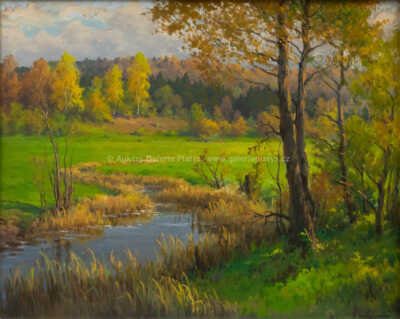  / U potoka / František Daněk - Sedláček