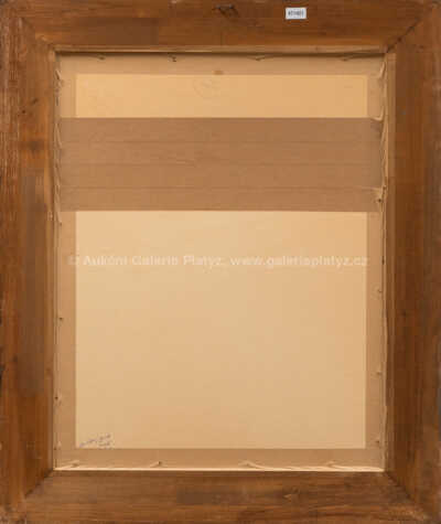  / Hadí muž / František  Tichý