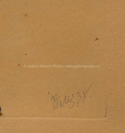  / Bílá černoška / František  Tichý