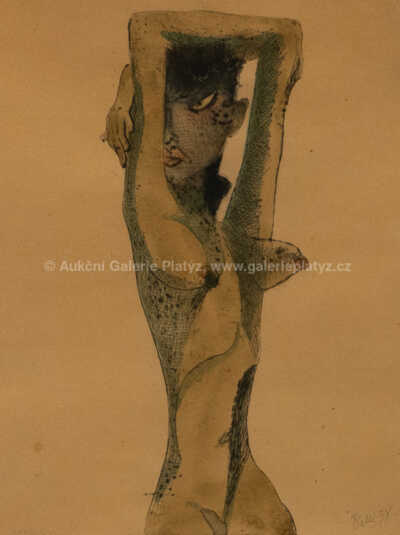  / Bílá černoška / František  Tichý