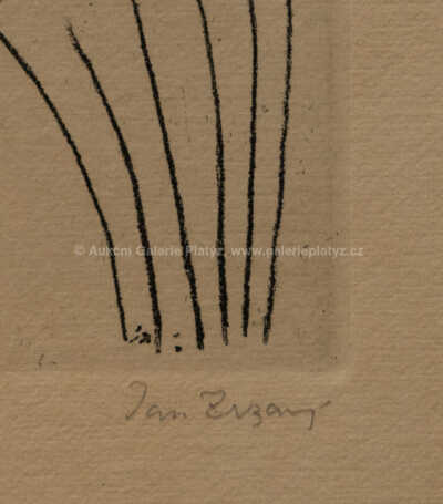  / Anděl / Jan  Zrzavý