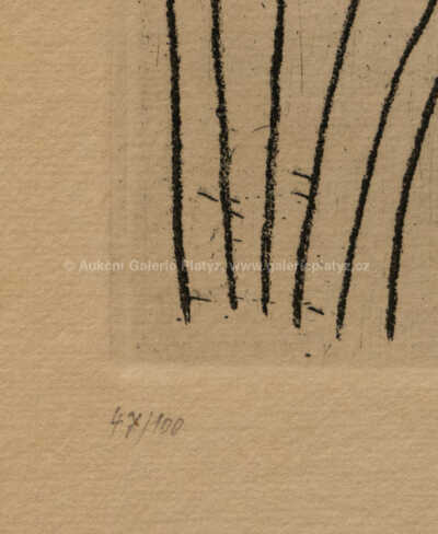  / Anděl / Jan  Zrzavý