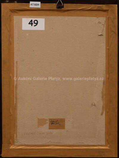  / Hadí muž III / František  Tichý