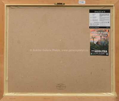  / Devonské moře (Machaeracanthus, Thysanopeltis, Agoniatites) / Petr Modlitba