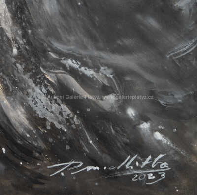  / Dakosaurus andiniensis / Petr Modlitba