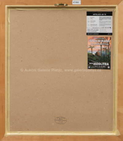  / Dakosaurus andiniensis / Petr Modlitba