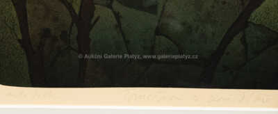  / Don Quijote / Adolf Born