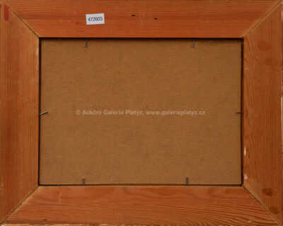  / Zima na potoce / Josef Procházka