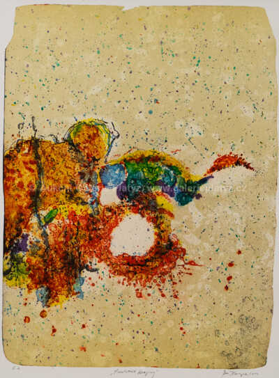  / Anatomie krajiny / Jan Kanyza