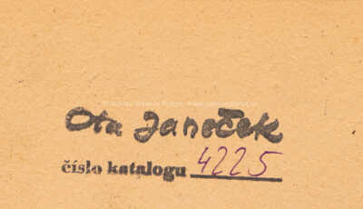  / Letní dívka / Ota Janeček