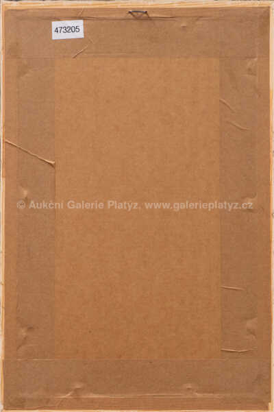  / Dívka / Ota Janeček