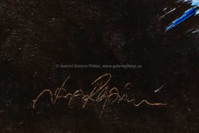  / Amélie z Montmartru / Jan Rapin