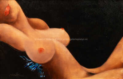  / Amélie z Montmartru / Jan Rapin