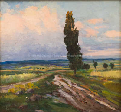  / Polní cestou po dešti k večeru / Gustav  Porš