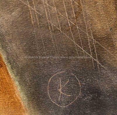  / Fašiangy / Vladimír Kompánek