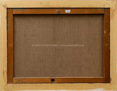  / Fašiangové masky / Vladimír Kompánek