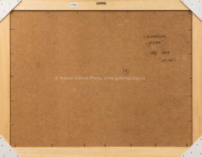  / Vesnice / Vladimír Kompánek