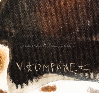  / Zimní noc / Vladimír Kompánek