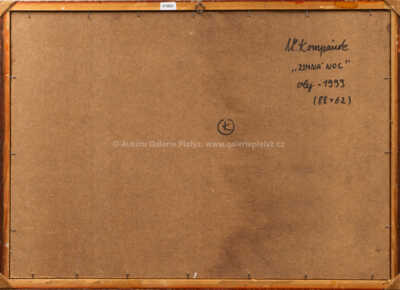  / Zimní noc / Vladimír Kompánek