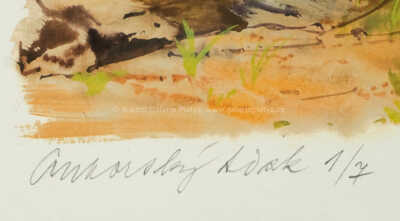  / Rychlé šípy u jezera / Jiří Grus