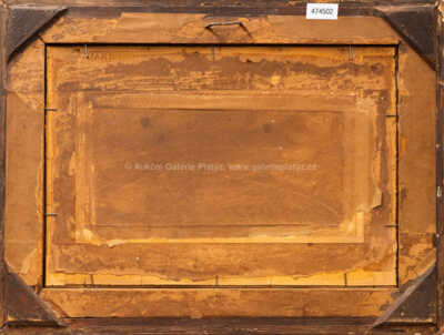  / Pohled do údolí / František Cína - Jelínek