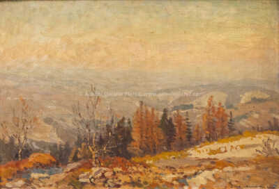  / Pohled do údolí / František Cína - Jelínek