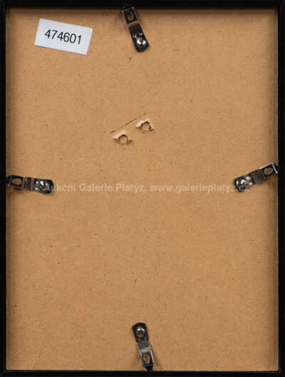  / Maska / Jan  Zrzavý