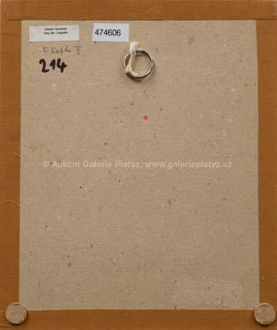  / Franz Kafka / Vladimír Suchánek