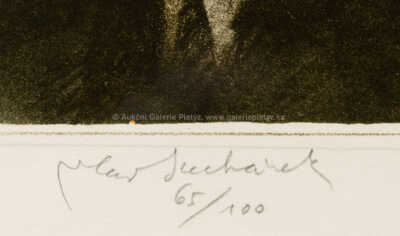  / Franz Kafka / Vladimír Suchánek