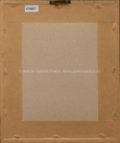  / Chlapec s rybou / Josef Čapek