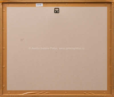  / Únos Evropy / Adolf Born