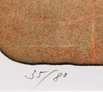  / Únos Evropy / Adolf Born