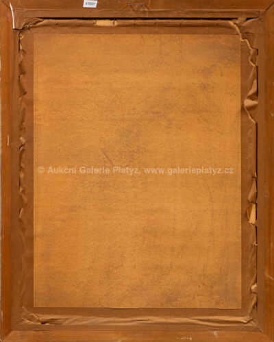  / Krojované ženy / Antoš Frolka