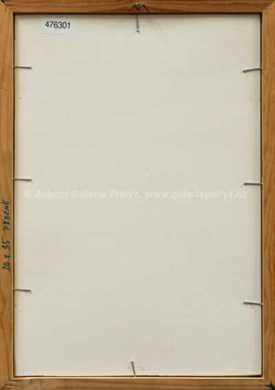  / Černý mustang / Zdeněk Burian